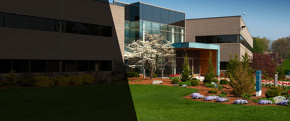 Salamanca Landscapers