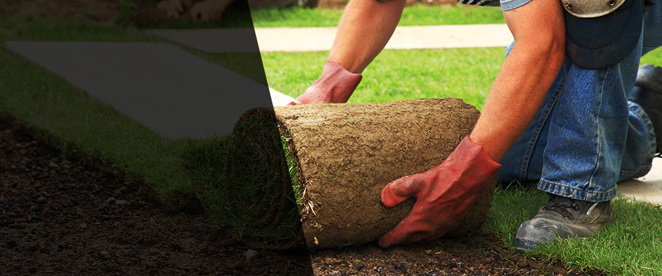 Salamanca Landscapers